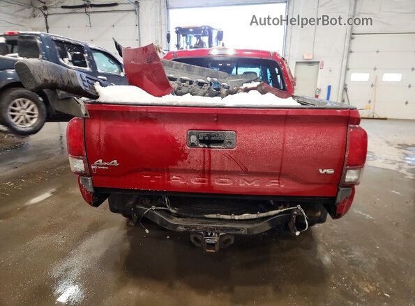 3TMCZ5AN1LM293984 2020 TOYOTA TACOMA Red Вид ззаду