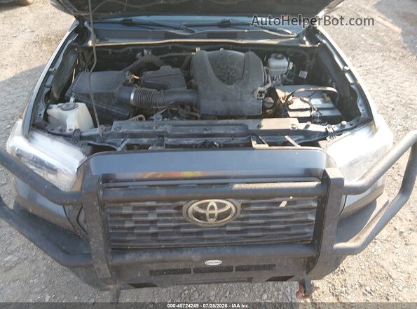 3TMCZ5AN1LM329057 2020 TOYOTA TACOMA Gray Вид ззаду
