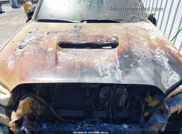 3TMCZ5AN1LM358896 2020 TOYOTA TACOMA Tan Vista trasera