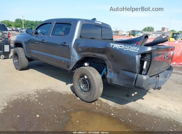 3TMCZ5AN2LM319962 2020 TOYOTA TACOMA Gray Հետևի ձախ