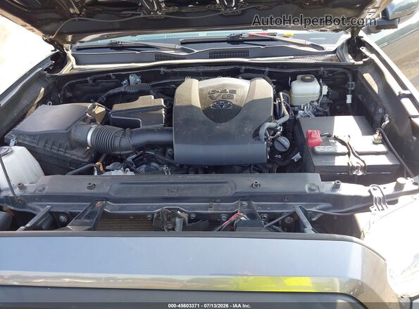 3TMCZ5AN2LM319962 2020 TOYOTA TACOMA Gray Հետևի տեսք