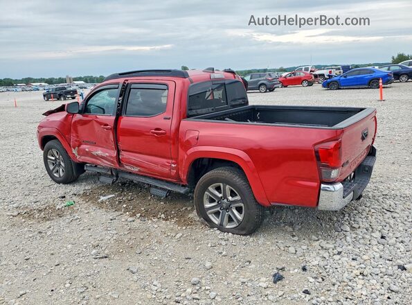 3TMCZ5AN2PM556909 2023 TOYOTA TACOMA Red Задня ліва чверть