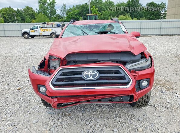 3TMCZ5AN2PM556909 2023 TOYOTA TACOMA Red Вид спереду