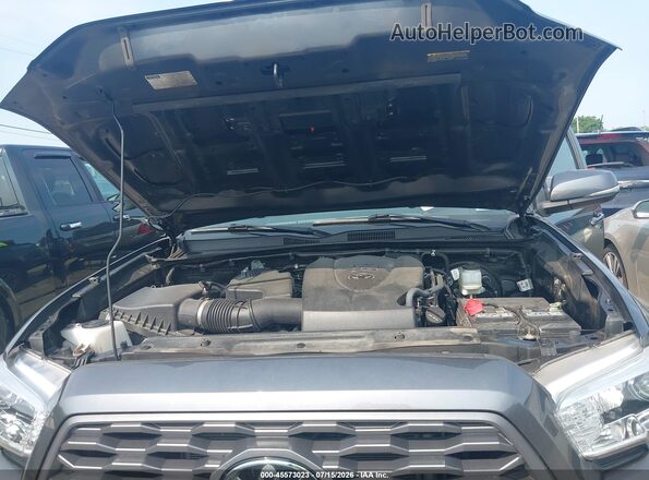 3TMCZ5AN2PM596665 2023 TOYOTA TACOMA Gray უკანა ხედი