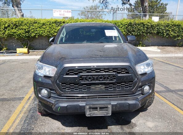 3TMCZ5AN3PM535129 2023 TOYOTA TACOMA Gray Widok zestawu wskaźników