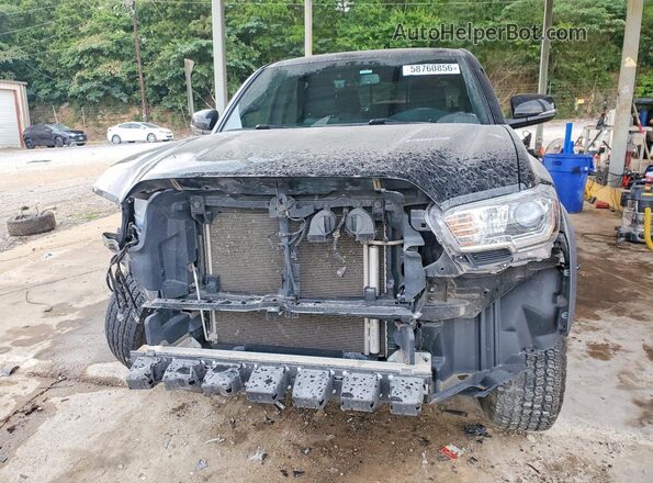 3TMCZ5AN3PM546521 2023 TOYOTA TACOMA Black Widok z przodu