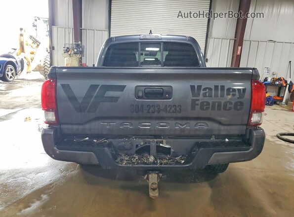 3TMCZ5AN3PM621766 2023 TOYOTA TACOMA Серый Вид сзади