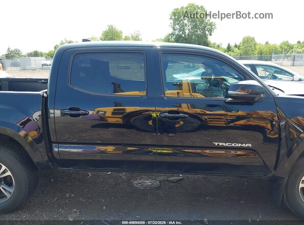 3TMCZ5AN4HM067736 2017 TOYOTA TACOMA Black Vista interior trasera