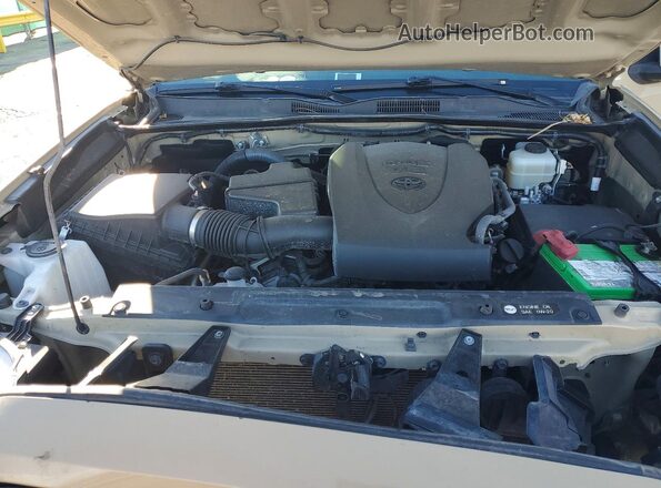 3TMCZ5AN4HM087291 2017 TOYOTA TACOMA Beige Սալոնի հետևի տեսք