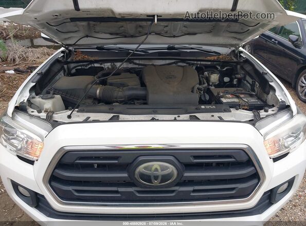 3TMCZ5AN4KM225161 2019 TOYOTA TACOMA White Widok z tyłu