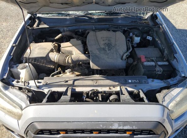 3TMCZ5AN4KM246169 2019 TOYOTA TACOMA Серый Вид задней части салона