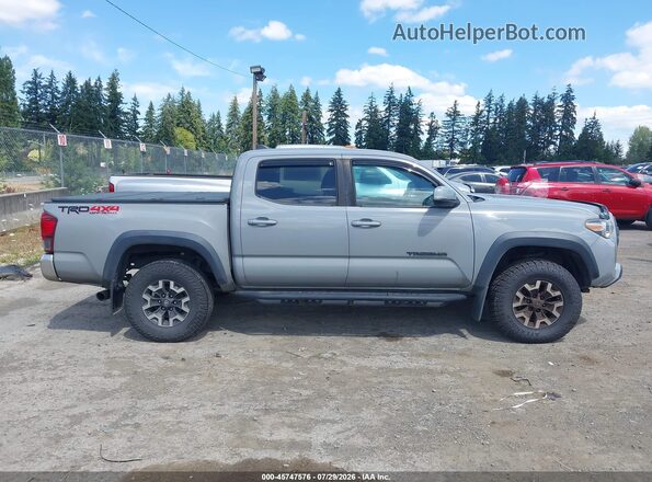 3TMCZ5AN4KM259570 2019 TOYOTA TACOMA Серый Вид задней части салона