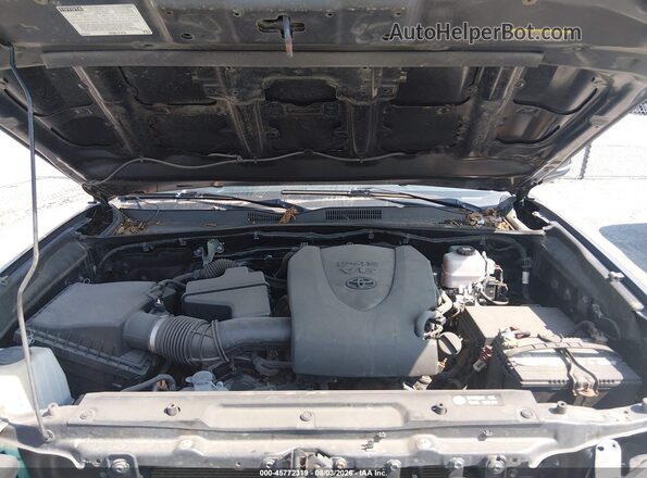 3TMCZ5AN4KM262890 2019 TOYOTA TACOMA Gray Rear view