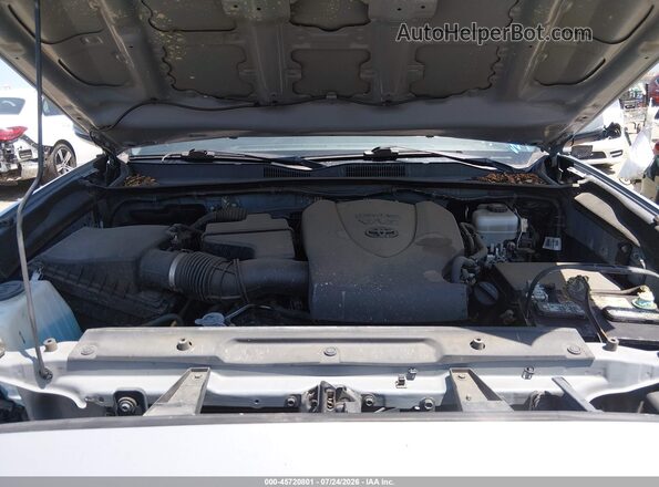3TMCZ5AN4LM312639 2020 TOYOTA TACOMA Gray Հետևի տեսք