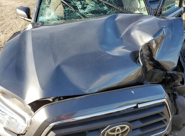 3TMCZ5AN4LM334592 2020 TOYOTA TACOMA Gray Սալոնի հետևի տեսք