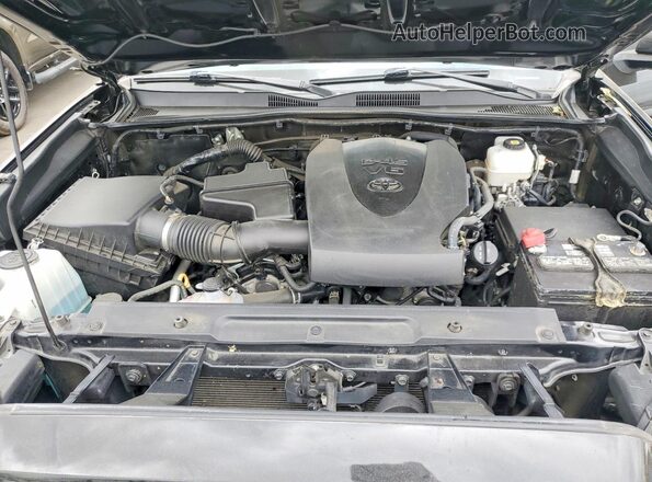 3TMCZ5AN4PM606418 2023 TOYOTA TACOMA Black Սալոնի հետևի տեսք