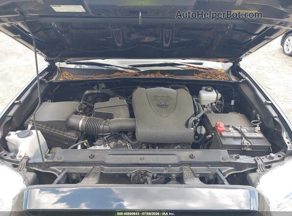 3TMCZ5AN4PM628421 2023 TOYOTA TACOMA Black Вид ззаду
