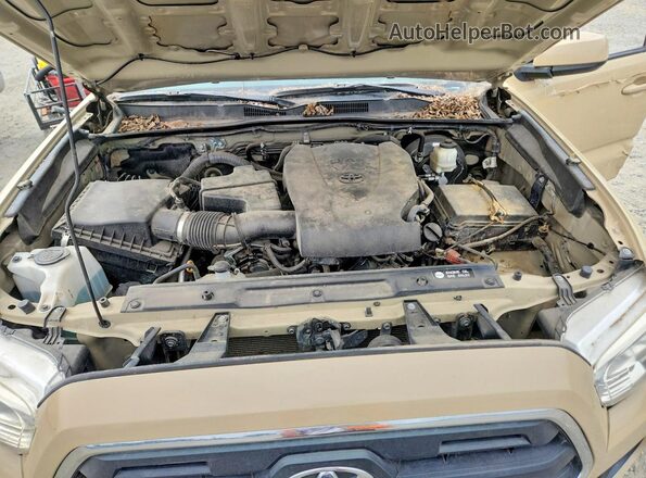 3TMCZ5AN5HM048127 2017 TOYOTA TACOMA Beige Вид задньої частини салону