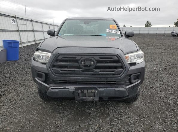 3TMCZ5AN5KM234516 2019 TOYOTA TACOMA Угольный Панорамный вид салона 360°