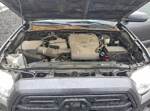 3TMCZ5AN5KM234516 2019 TOYOTA TACOMA Угольный Вид задней части салона