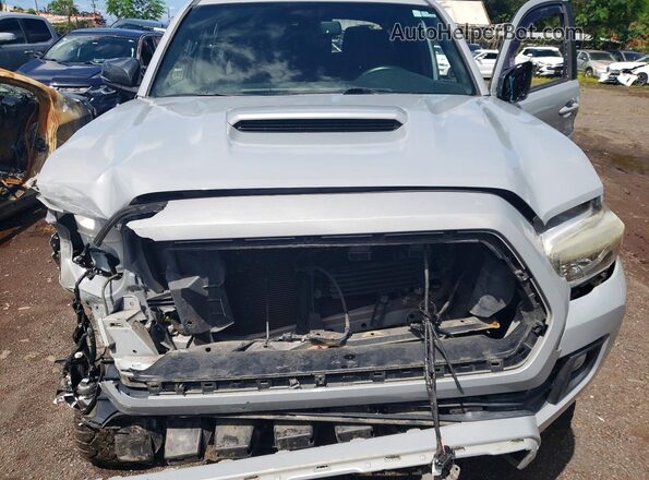 3TMCZ5AN5KM239666 2019 TOYOTA TACOMA Gray Widok wnętrza z tyłu