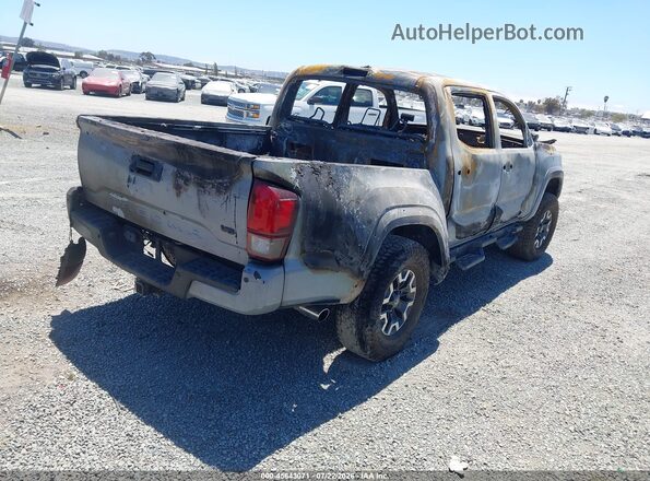 3TMCZ5AN5KM286356 2019 TOYOTA TACOMA Gray Tył prawy