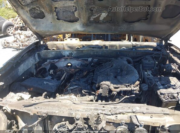 3TMCZ5AN5KM286356 2019 TOYOTA TACOMA Gray Widok z tyłu