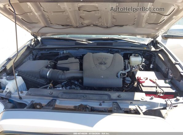 3TMCZ5AN5LM349294 2020 TOYOTA TACOMA Gray Widok z tyłu