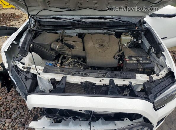 3TMCZ5AN5PM545449 2023 TOYOTA TACOMA Белый Вид задней части салона