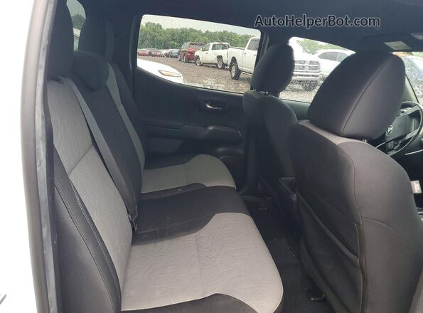 3TMCZ5AN5PM545449 2023 TOYOTA TACOMA Белый Вид задних сидений