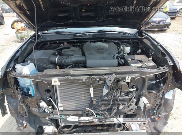 3TMCZ5AN6LM317051 2020 TOYOTA TACOMA Black Հետևի տեսք