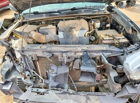 3TMCZ5AN6MM404451 2021 TOYOTA TACOMA Gray Widok wnętrza z tyłu