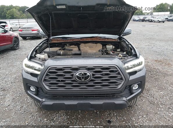 3TMCZ5AN6MM439135 2021 TOYOTA TACOMA Серый Вид сзади