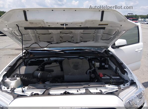 3TMCZ5AN7MM409979 2021 TOYOTA TACOMA White Հետևի տեսք