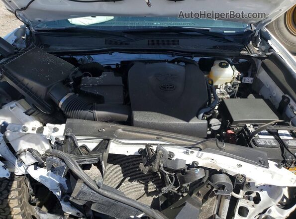 3TMCZ5AN7PM541676 2023 TOYOTA TACOMA Белый Вид задней части салона