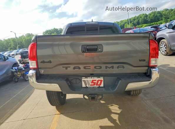 3TMCZ5AN8HM045951 2017 TOYOTA TACOMA Gray Vista trasera