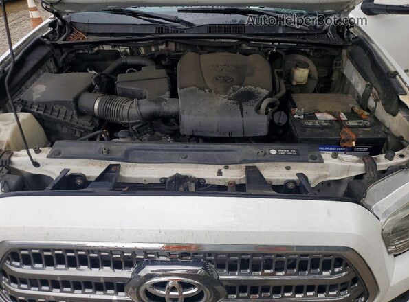 3TMCZ5AN8HM062104 2017 TOYOTA TACOMA White Սալոնի հետևի տեսք
