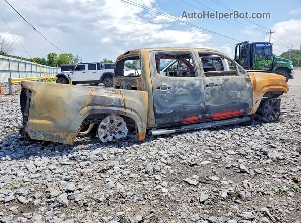 3TMCZ5AN8HM095068 2017 TOYOTA TACOMA Burn Հետևի աջ