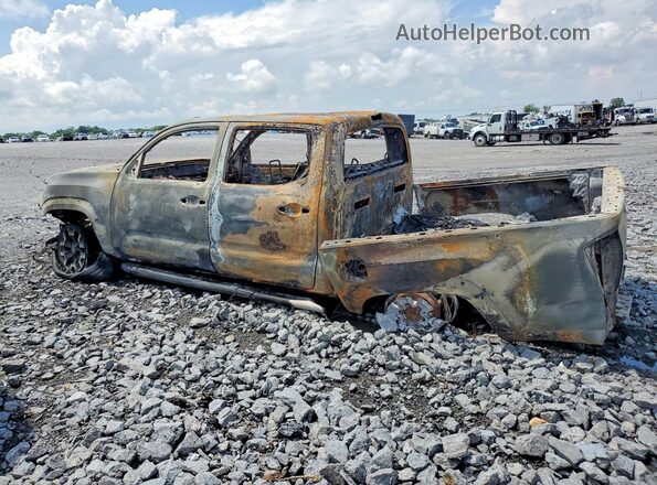 3TMCZ5AN8HM095068 2017 TOYOTA TACOMA Burn Հետևի ձախ