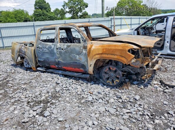 3TMCZ5AN8HM095068 2017 TOYOTA TACOMA Burn Առջևի աջ