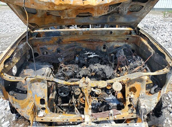 3TMCZ5AN8HM095068 2017 TOYOTA TACOMA Burn Սալոնի հետևի տեսք