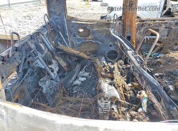 3TMCZ5AN8HM095068 2017 TOYOTA TACOMA Burn Հետևի նստատեղերի տեսք
