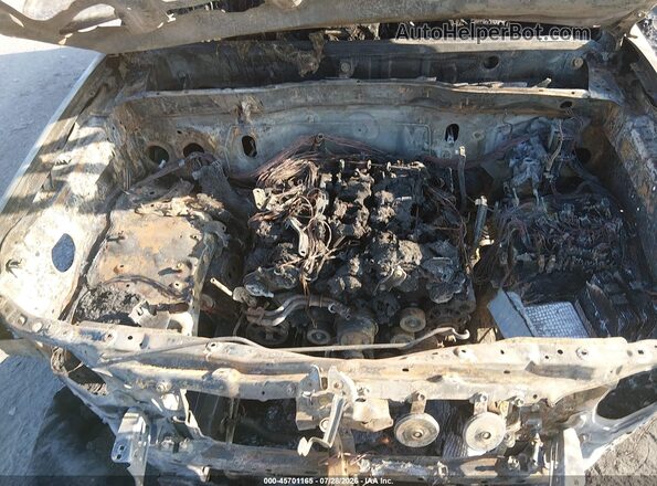 3TMCZ5AN8JM163620 2018 TOYOTA TACOMA Gray უკანა ხედი