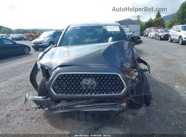 3TMCZ5AN8KM231688 2019 TOYOTA TACOMA Gray Սալոնի հետևի տեսք