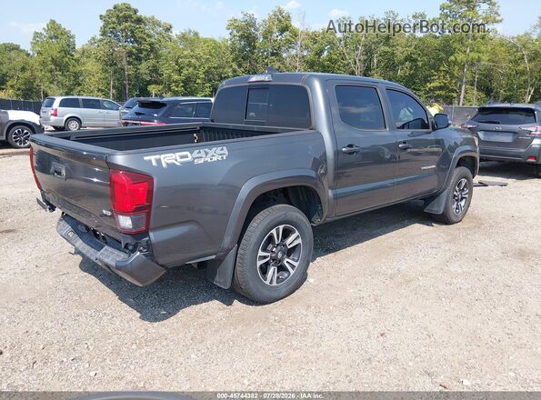 3TMCZ5AN8KM242738 2019 TOYOTA TACOMA Серый Задняя правая четверть