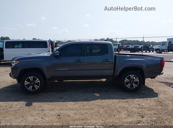 3TMCZ5AN8KM242738 2019 TOYOTA TACOMA Серый Панорамный вид салона 360°