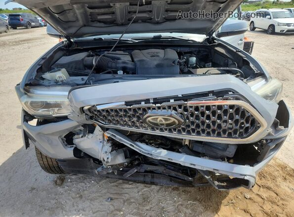 3TMCZ5AN8KM249933 2019 TOYOTA TACOMA Gray Սալոնի հետևի տեսք