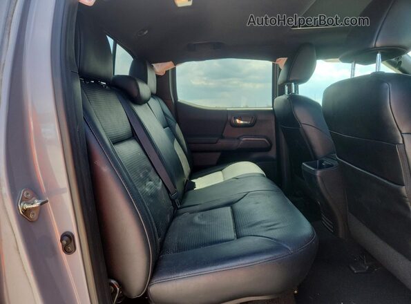 3TMCZ5AN8KM249933 2019 TOYOTA TACOMA Gray Հետևի նստատեղերի տեսք