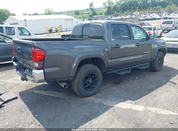 3TMCZ5AN8KM285010 2019 TOYOTA TACOMA Gray Tył prawy