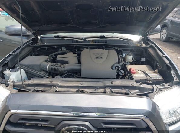 3TMCZ5AN8KM285010 2019 TOYOTA TACOMA Gray Widok z tyłu